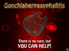 Gonchlaherpasyphalitis - with text